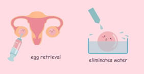 代生宝宝发烧心肌酶高(代生宝宝发烧心肌酶高怎么办) 代生宝宝发烧心肌酶高(代生宝宝发烧心肌酶高怎么办)